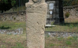 La Statue Menhir D'Appricciani